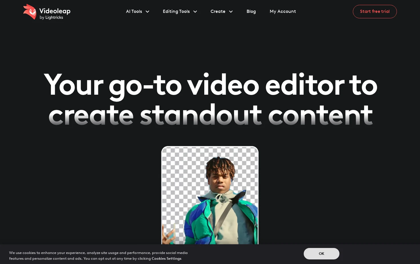Videoleap 页面快照